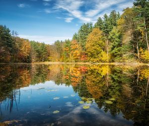 Превью обои озеро, лес, осень, деревья, отражение