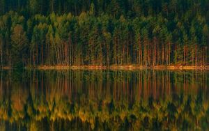 Превью обои озеро, лес, отражение, деревья, берег, пейзаж