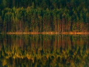 Превью обои озеро, лес, отражение, деревья, берег, пейзаж