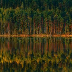 Превью обои озеро, лес, отражение, деревья, берег, пейзаж