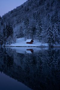 Превью обои озеро, лес, снег, зима, деревья