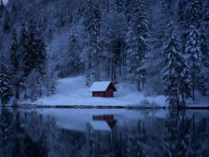Превью обои озеро, лес, снег, зима, деревья