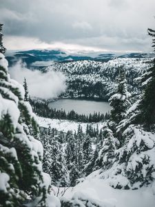 Превью обои озеро, лес, снег, вид сверху, горы, зима