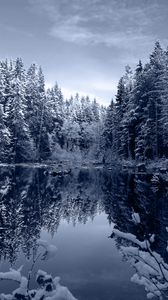 Превью обои озеро, лес, снег, зима, пейзаж, красота