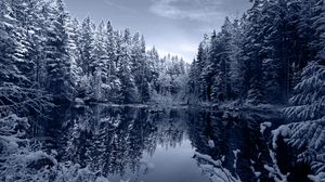 Превью обои озеро, лес, снег, зима, пейзаж, красота