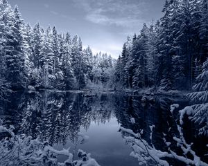 Превью обои озеро, лес, снег, зима, пейзаж, красота