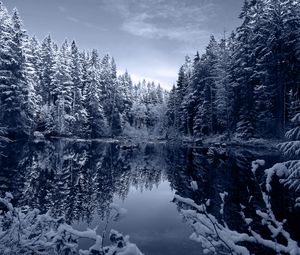 Превью обои озеро, лес, снег, зима, пейзаж, красота
