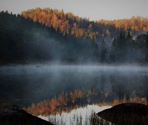 Превью обои озеро, лес, туман, осень, природа