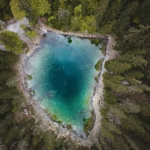 Превью обои озеро, лес, вид сверху, вода, деревья