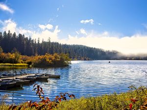 Превью обои озеро, лодки, осень, деревья