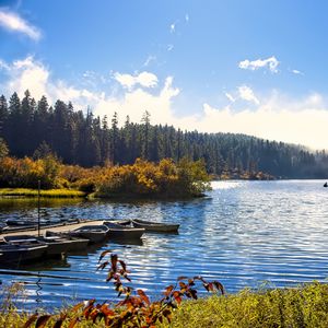 Превью обои озеро, лодки, осень, деревья