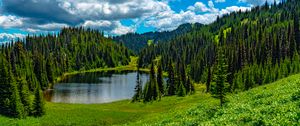 Превью обои озеро, луг, деревья, лес, пейзаж