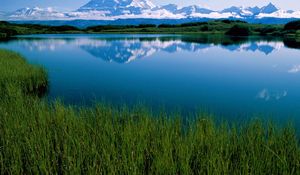 Превью обои озеро маккинли, гора, растительность, аляска