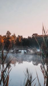 Превью обои озеро, мост, туман, деревья