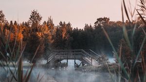 Превью обои озеро, мост, туман, деревья