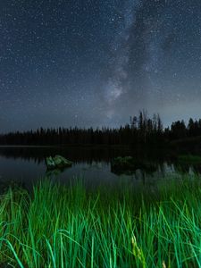 Превью обои озеро, ночь, звездное небо, трава, деревья