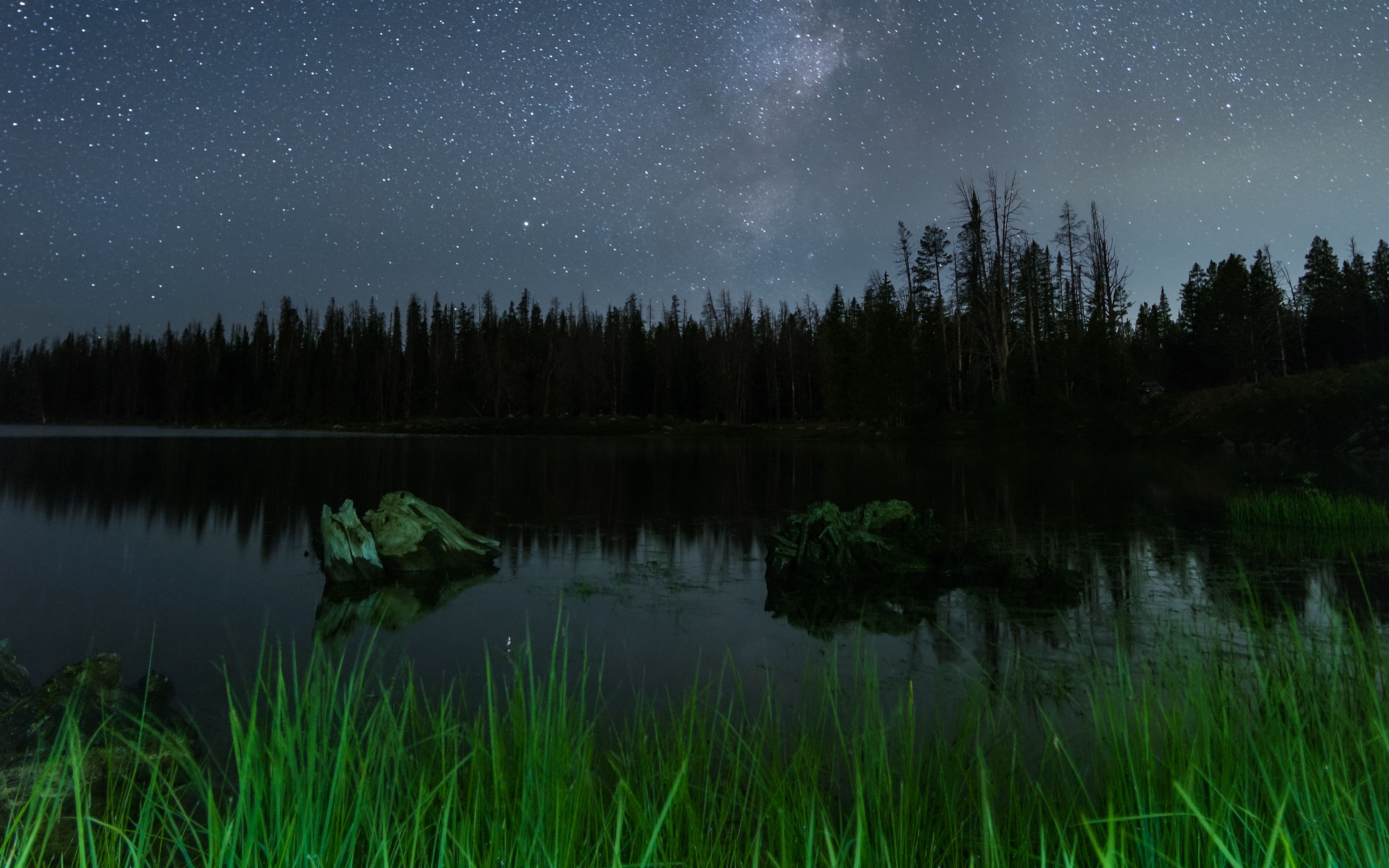 Какие бывают ночи летом. Озеро ночью. Летняя ночь. Озеро в лесу ночью. Ночное озеро в лесу.