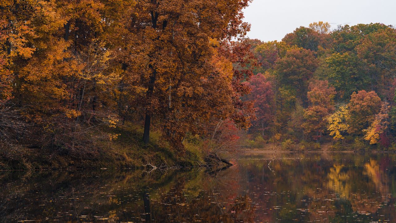 Обои озеро, осень, лес, берег, природа