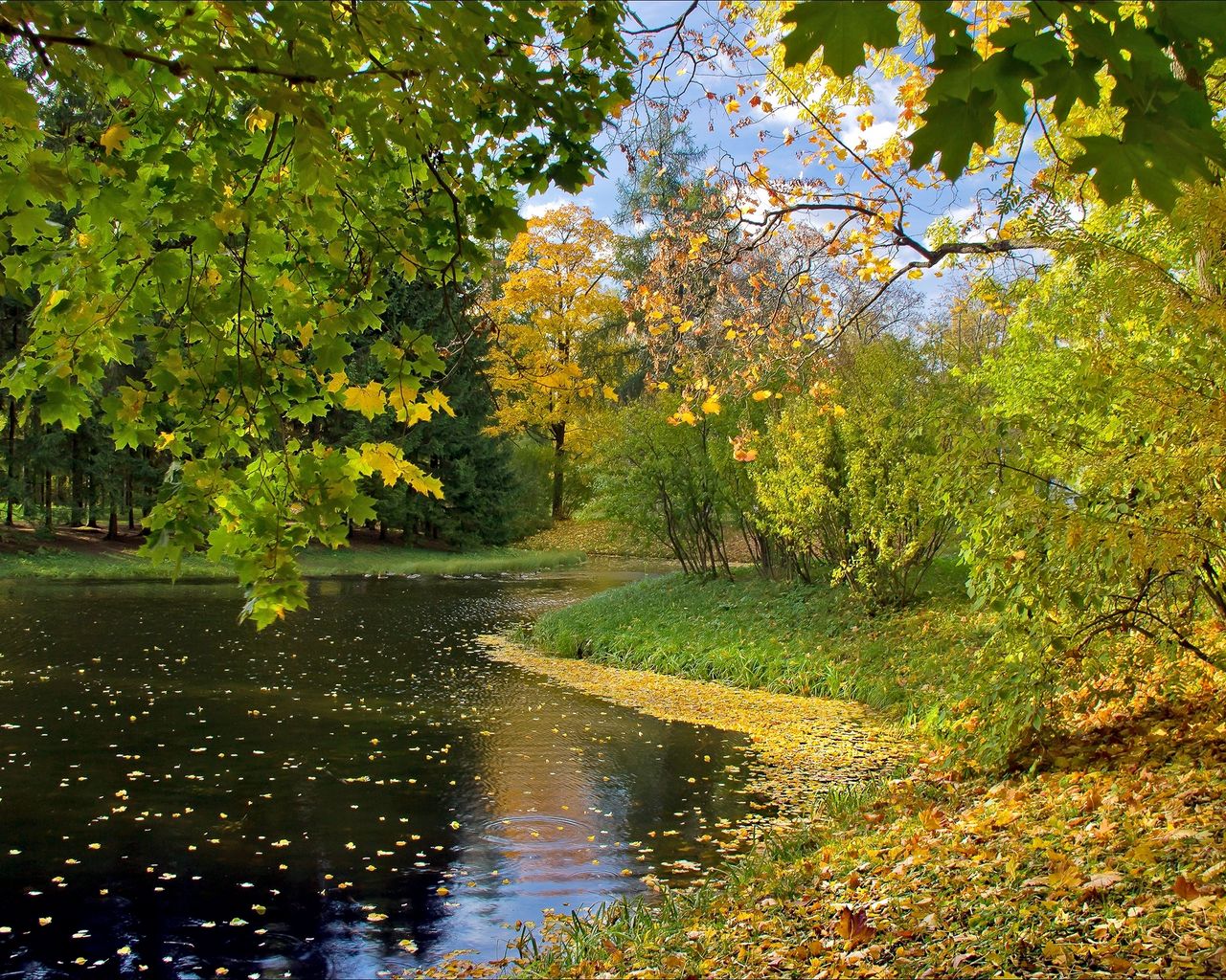 Ранняя осень фото природы