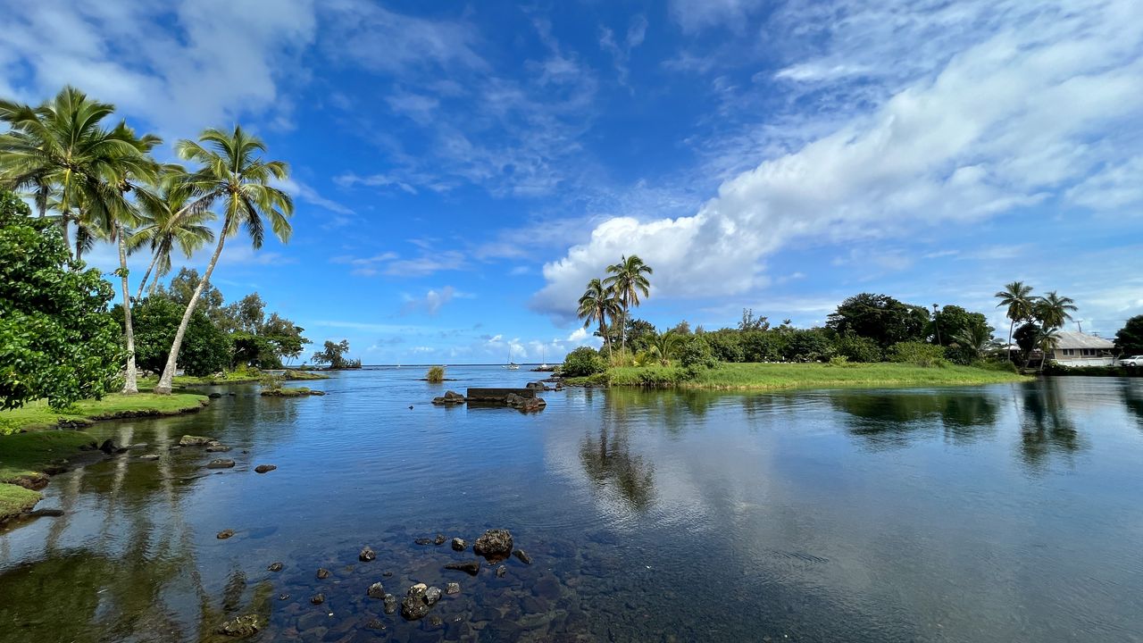Обои озеро, остров, пальмы, природа