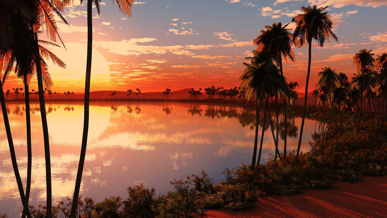 Обои озеро, пальмы, закат, солнце, вечер, оранжевый, горизонт