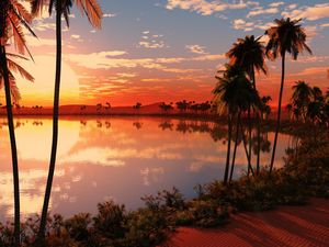 Превью обои озеро, пальмы, закат, солнце, вечер, оранжевый, горизонт