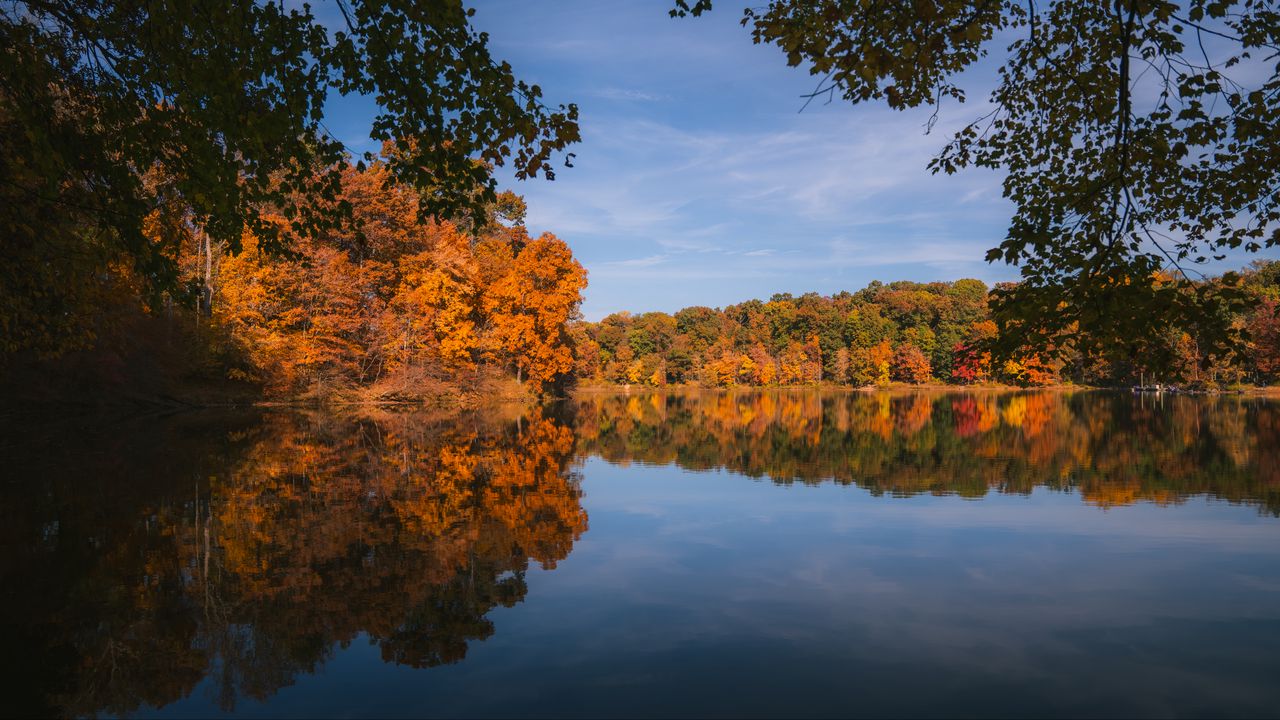Обои озеро, пейзаж, осень, деревья, отражение
