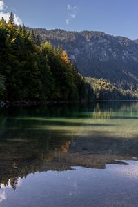 Превью обои озеро, пейзаж, природа, деревья