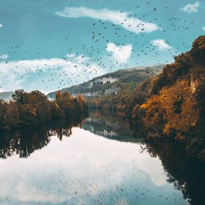 Превью обои озеро, птицы, деревья, полет, отражение, осень