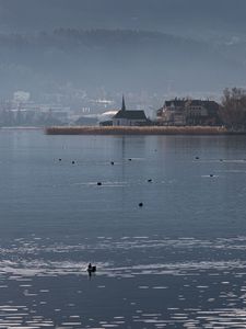 Превью обои озеро, птицы, рябь, здания, берег, туман