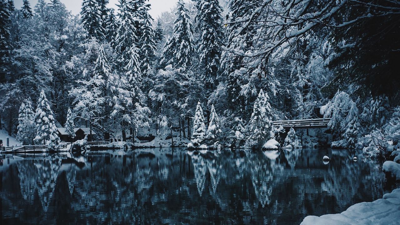 Обои озеро, снег, ветки, зима, заснеженный