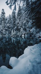 Превью обои озеро, снег, ветки, зима, заснеженный