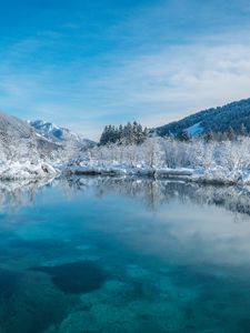 Превью обои озеро, снег, зима, деревья, берег