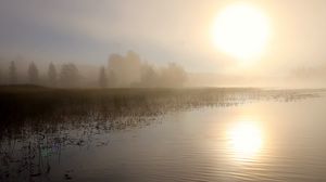 Превью обои озеро, солнце, туман, деревья