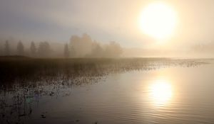 Превью обои озеро, солнце, туман, деревья