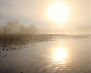 Превью обои озеро, солнце, туман, деревья