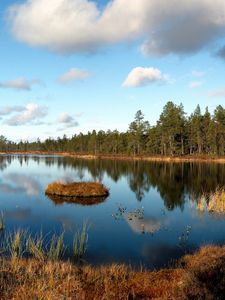 Превью обои озеро, трава, осень, лес, опушка