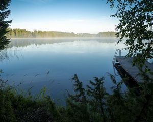 Превью обои озеро, трава, туман, пирс, природа, деревья