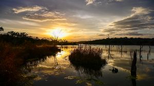 Превью обои озеро, трава, закат, природа