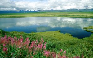 Превью обои озеро, цветы, берега, трава, зелень, горы, аляска