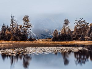 Превью обои озеро, туман, берег, деревья, отражение