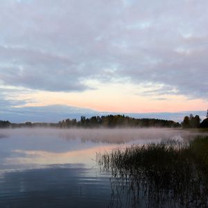 Превью обои озеро, туман, деревья, рассвет, пейзаж