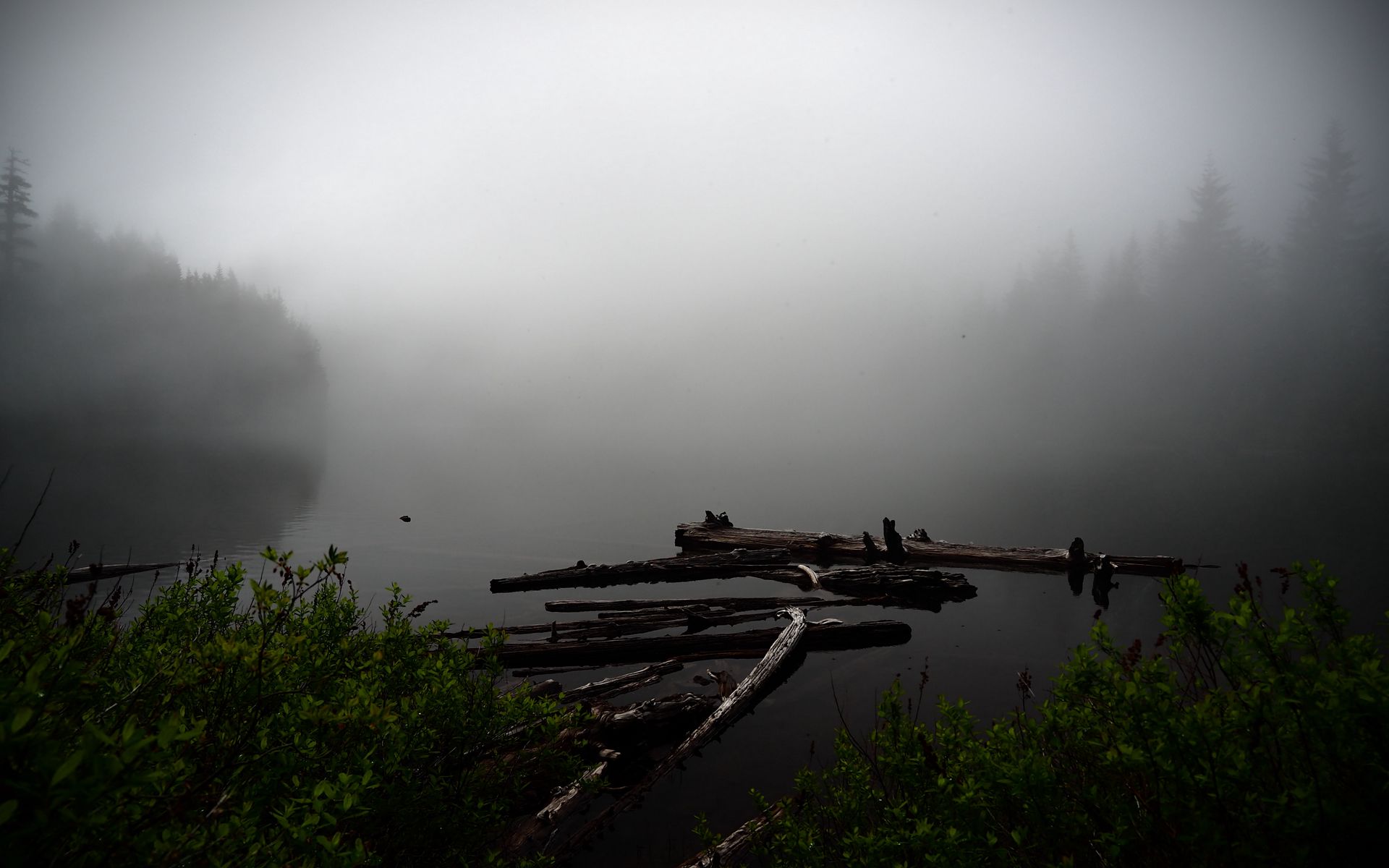 Утро озеро туман 4к