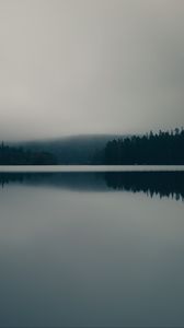 Превью обои озеро, туман, лес, природа