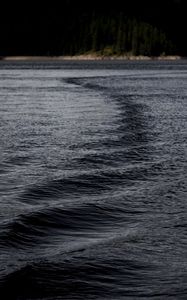 Превью обои озеро, вода, рябь, темный