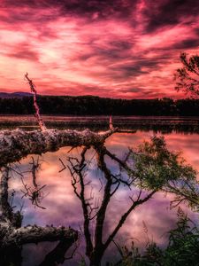 Превью обои озеро, закат, деревья, hdr