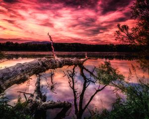 Превью обои озеро, закат, деревья, hdr