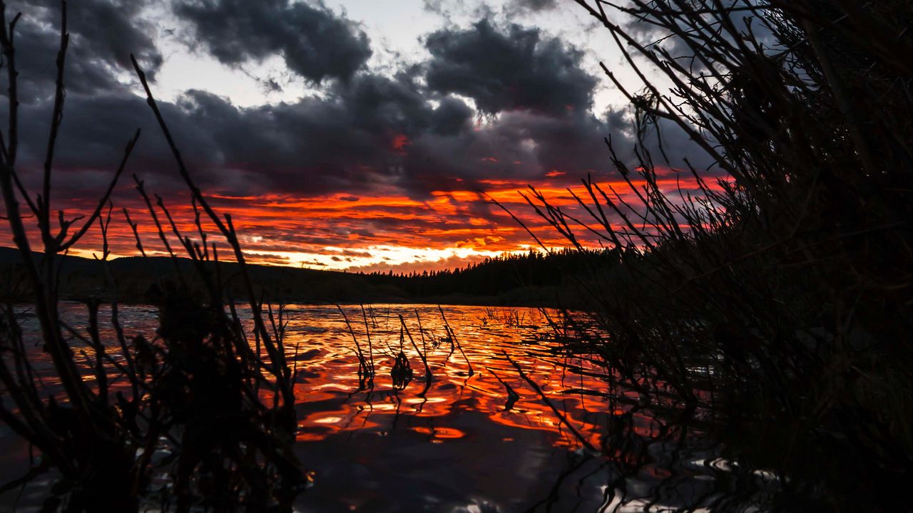 Обои озеро, закат, небо, трава, йеллоустонский национальный парк, сша