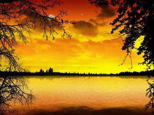 Превью обои озеро, закат, оранжевый, деревья, ветви, очертания, луна, звезда