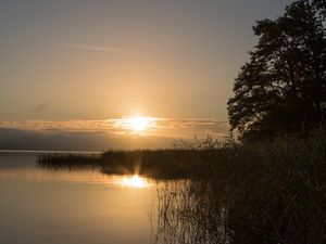 Превью обои озеро, закат, пейзаж, берег, камыш, дерево